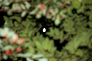 dsc_2758